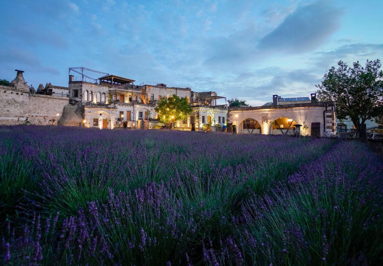 Design Cave Hotel Goreme Bagian luar foto